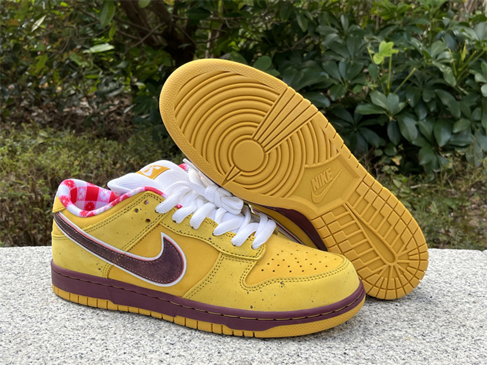 Nike SB Dunk Low 313170-137566