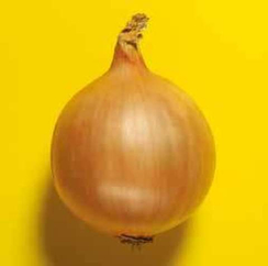 Центро F1 семена лука репчатого (Hazera / Хазера)