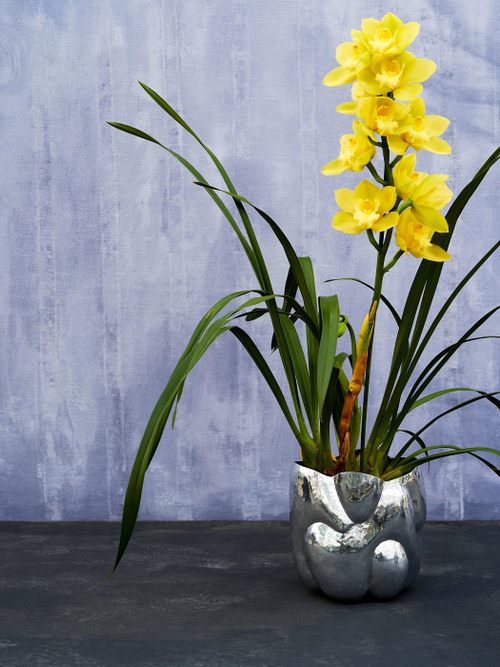 Ваза Cloud Short