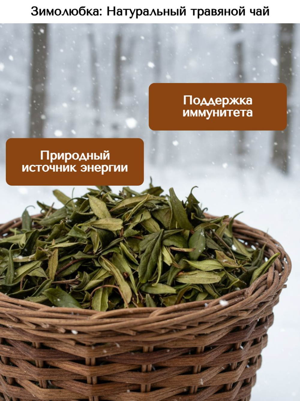 Зимолюбка зонтичная