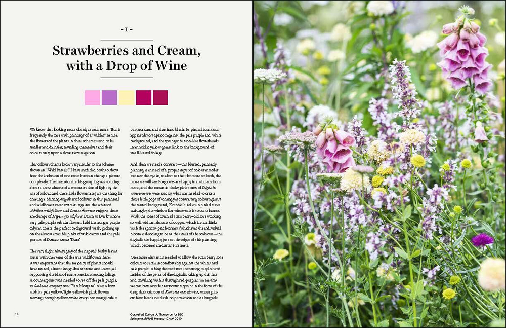 The Gardener`s Palette: Creating Colour Harmony in the Garden