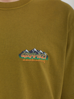 Мужская Футболка Mountaineering