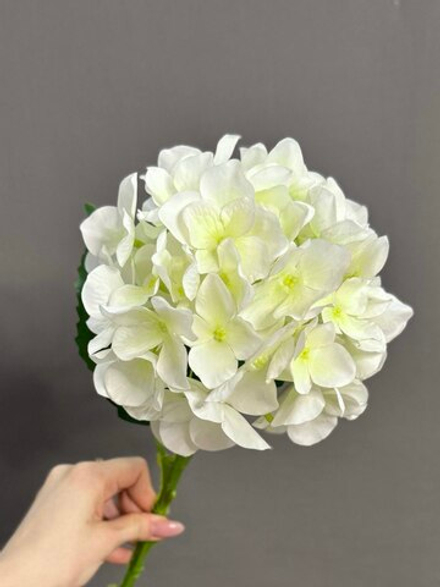 Гортензия белая (h54 см)