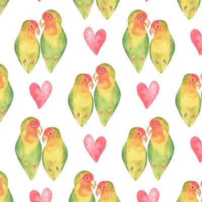 Попугаи неразлучники