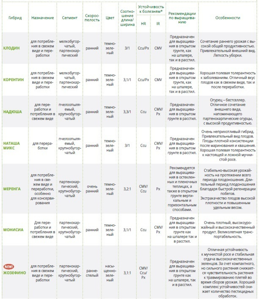 Меренга F1 семена огурца партенокарпического (Seminis / Семинис)