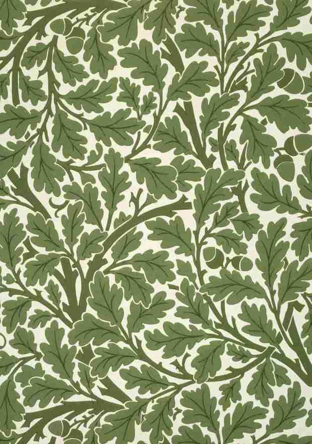 William Morris: 100 Postcards