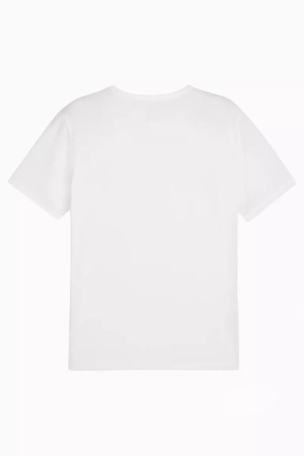 Футболка Puma teamRISE Matchday