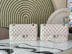 Chanel Bag 25 cm (2 variants)