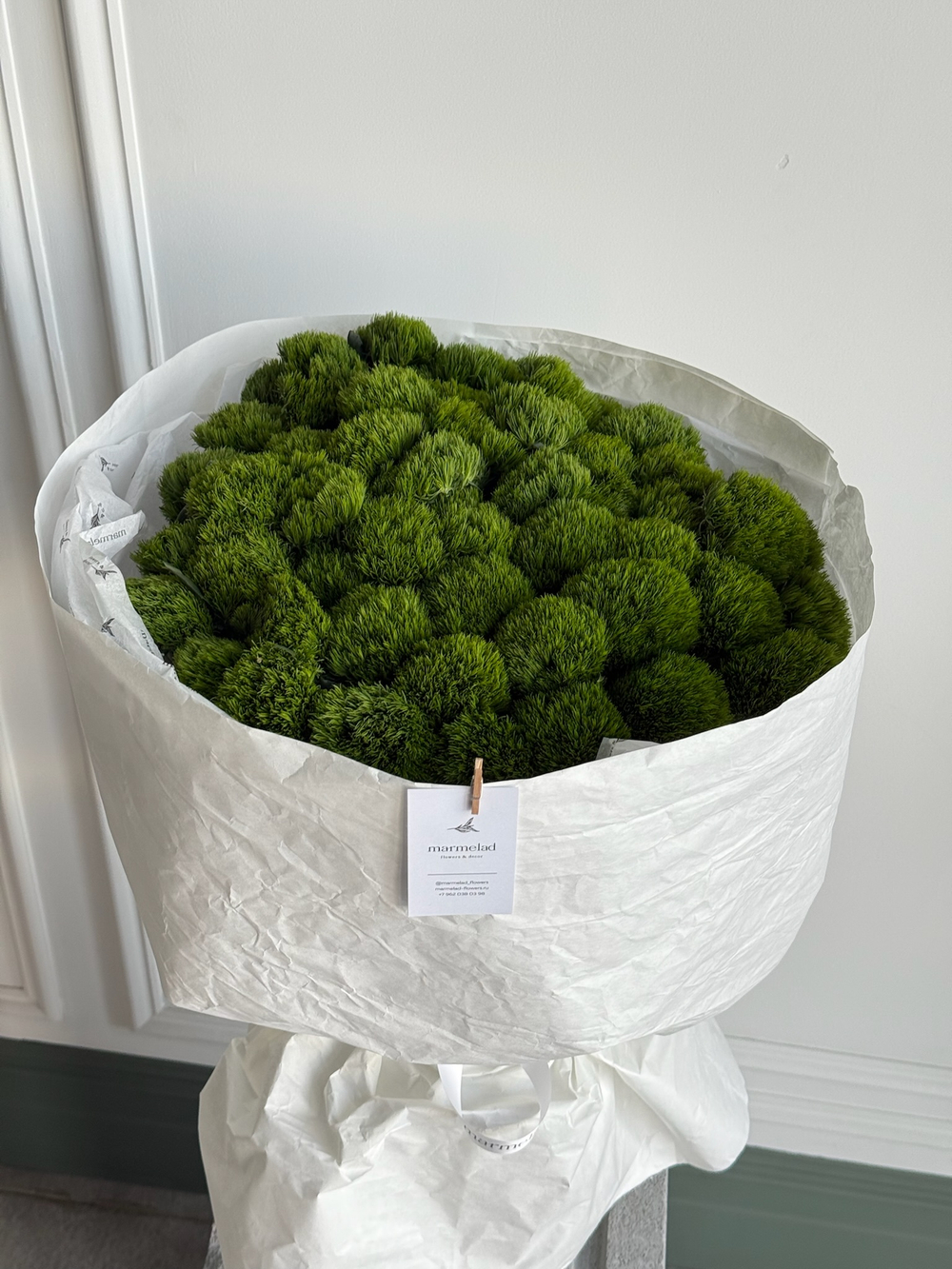 Моно букет из диантусов сорта Грин трик 51 шт