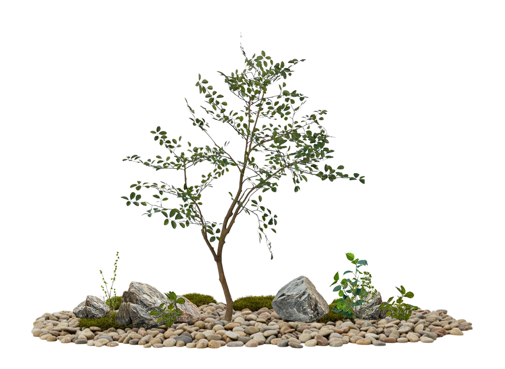 Напольная композиция в стиле минимализм с мирраей 200 см, длина 1,8–2 м