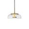 Подвесной светодиодный светильник Loft IT Disk 8210-P