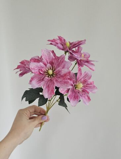 Клематис / Арт 2582