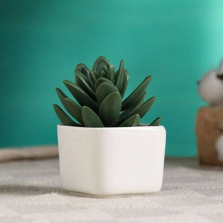 Грошок Эко 5х4 см (2)