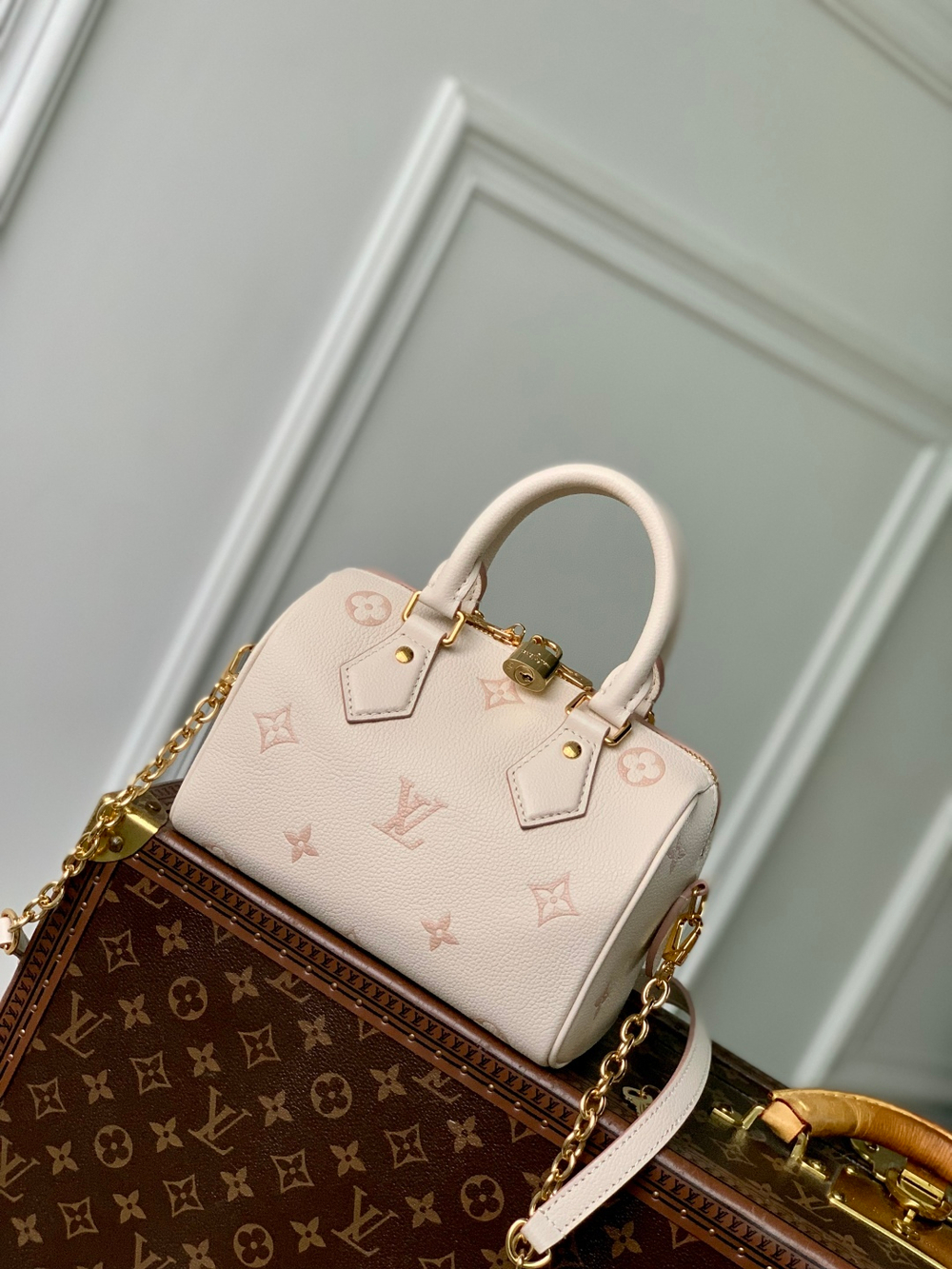 Louis Vuitton Speedy 20