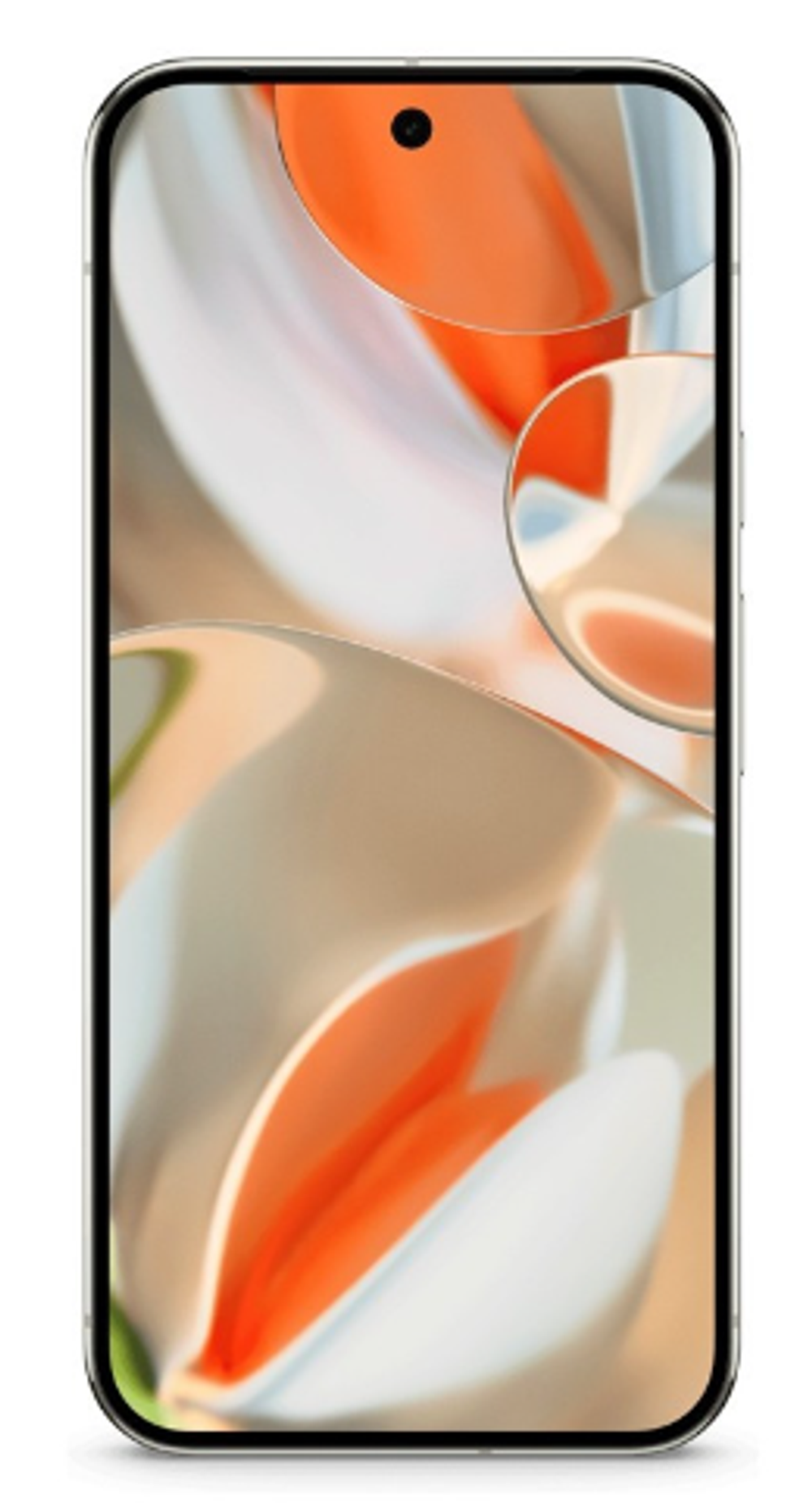 Google Pixel 9 Pro XL 16/256Gb (Роrсelаin)