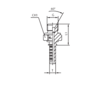 BSP (Ш)