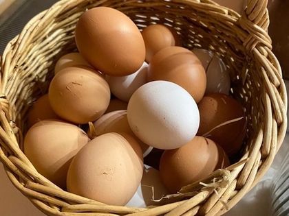 Широкий ассортимент фермерских продуктов