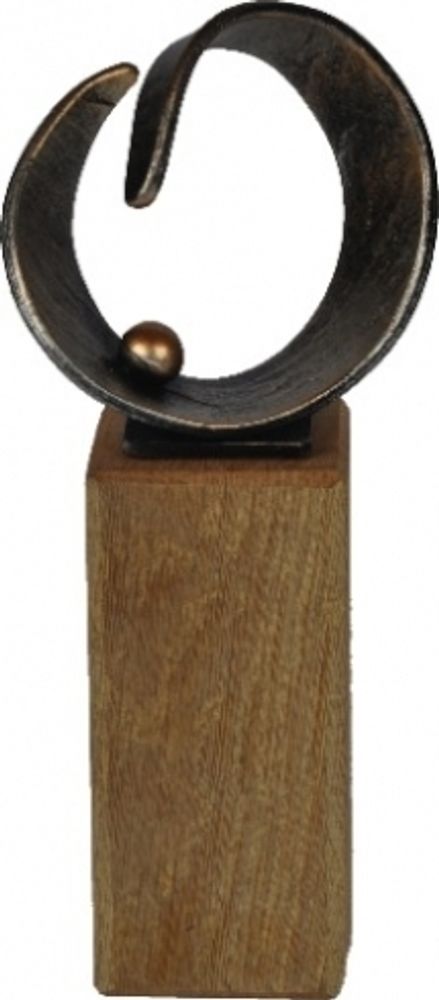 Награда VERDIGRIS: BRONZE WINNER