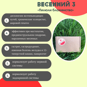 Бокс "Весенний 3"