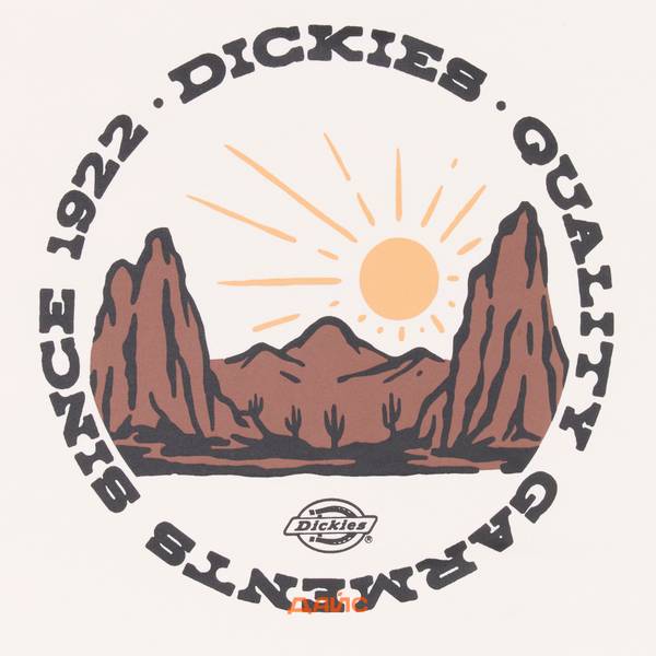 Футболка мужская Dickies Outdoor артикул:DK0A4Z8PC481 - купить в магазине Дайс