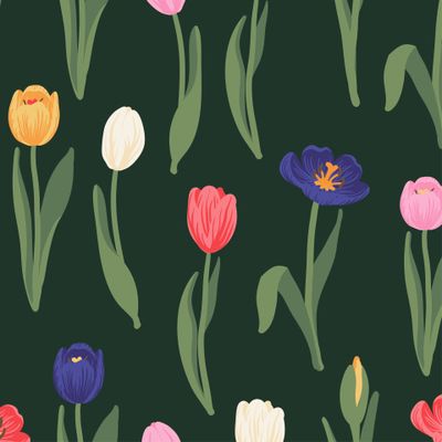 Разноцветные тюльпаны