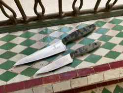 🏆Кухонный нож Alexander S N690 Camo G10