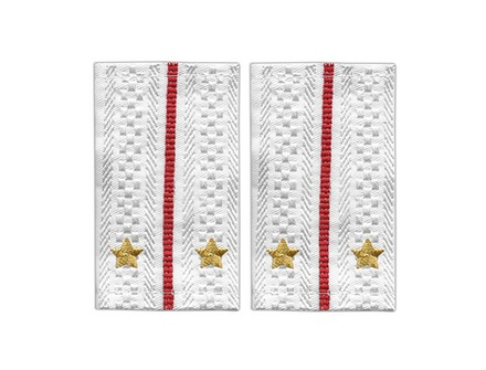 Фальшпогоны Полиция нового образца белые лейтенант