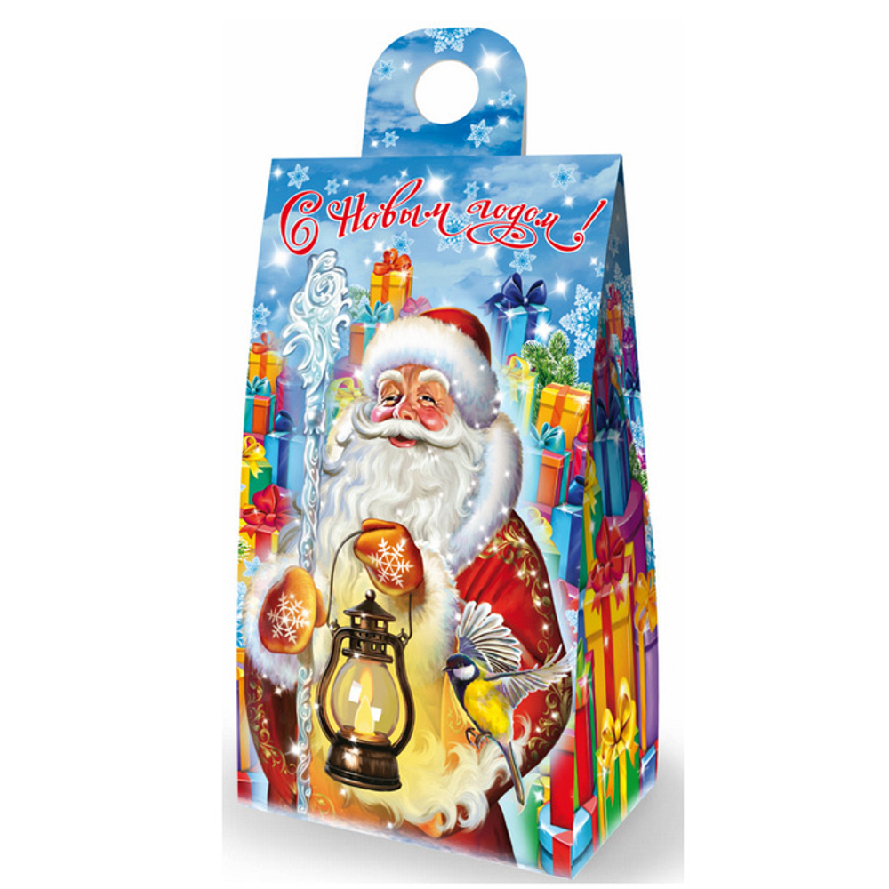 Дед Мороз с фонариком