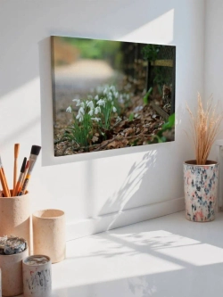 Картина на стену 40 X 50 Ландыши