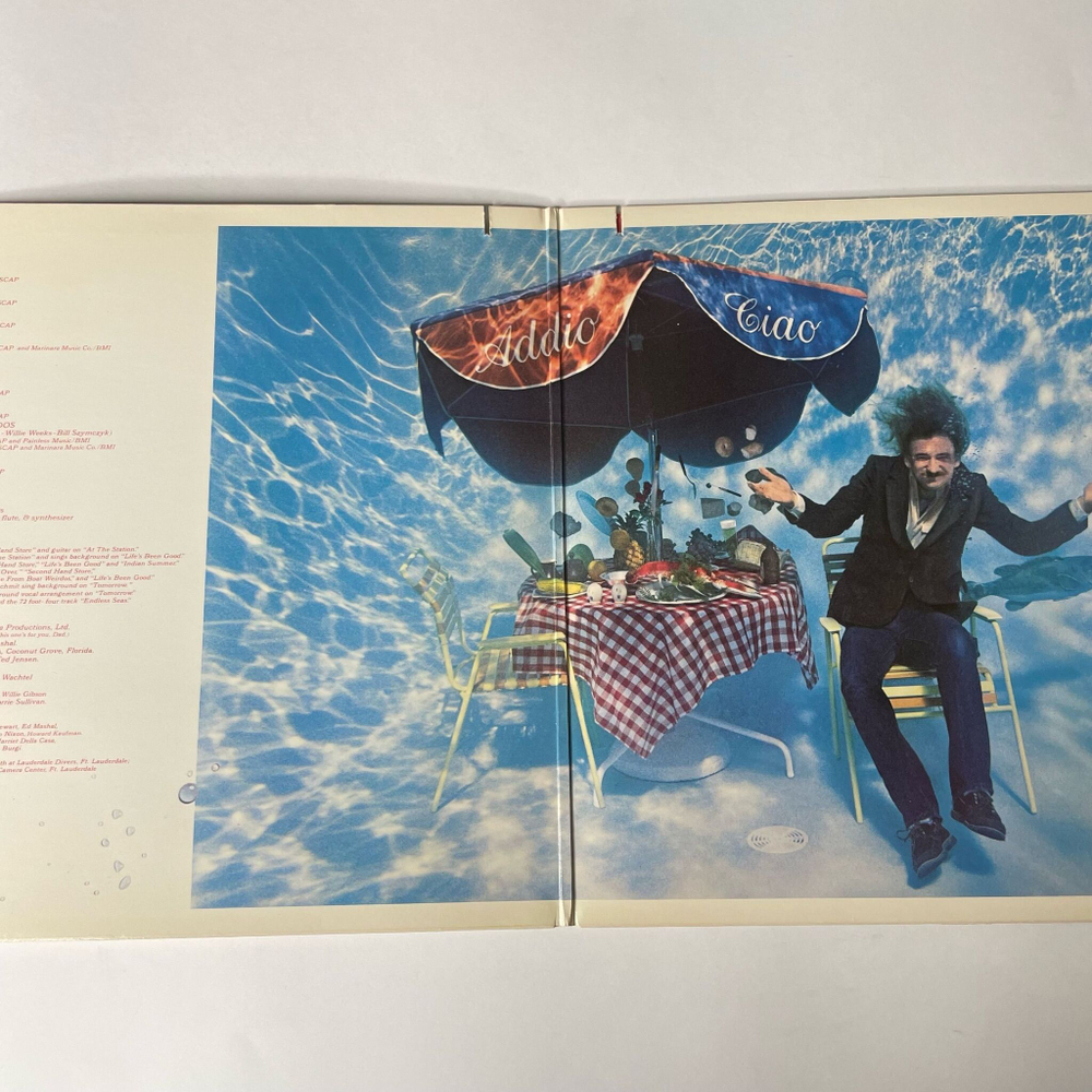 Винтажная виниловая пластинка LP Joe Walsh But Seriously, Folks (USA 1978) Second Hand Store