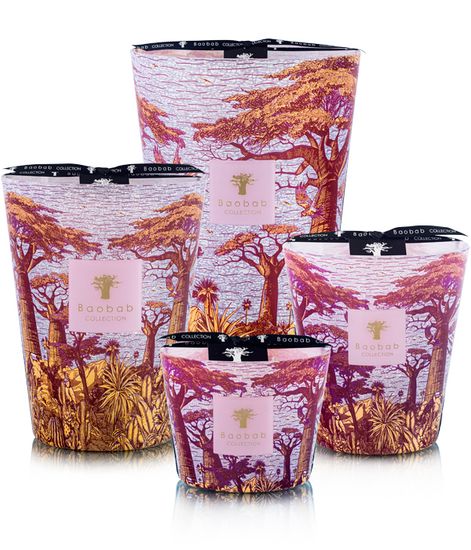Massasso, свеча MAX 10 Sacred Trees collection, Baobab Collection