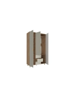 Шкаф распашной 120х50х210 с ящиками Birmingham 10