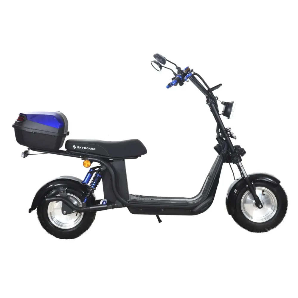 Электроскутер Skyboard BR30-2WD (Ural)