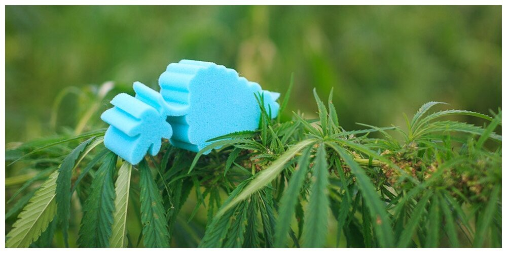 Матрас Mr. Mattress Amnesia L, независимые пружины