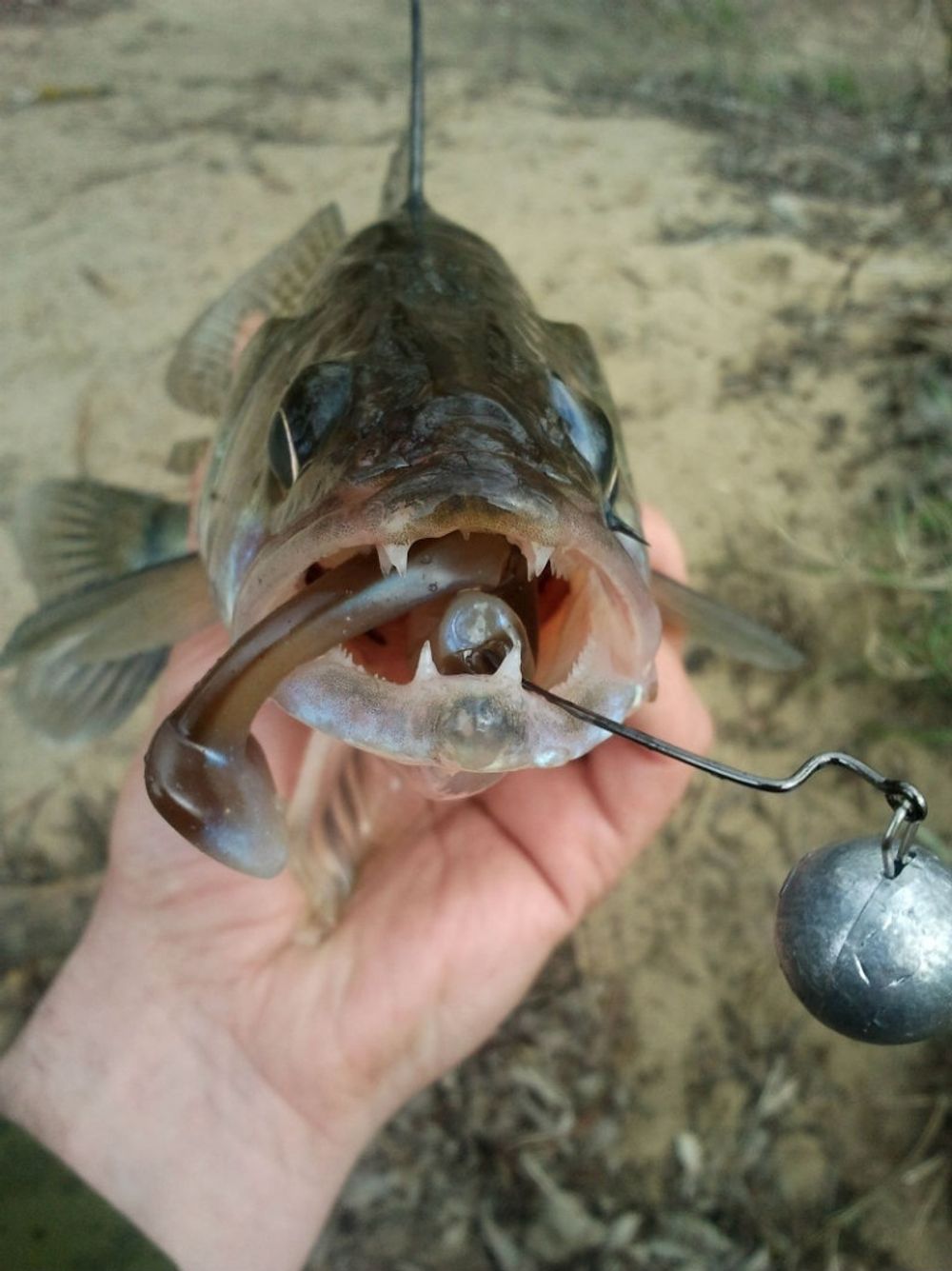 Мягкая приманка Lucky John MINNOW 3.3in (84 мм), цвет T47, 7 шт/уп