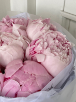 Букет 9шт розовых пионов