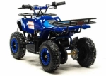 Электроквадроцикл Motoland ATV E008 800Вт