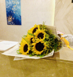 Солнечный свет Шарма