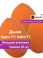 Дыня Адон F1