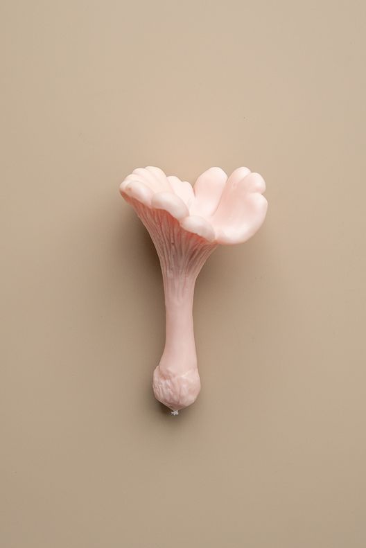 Свеча Гриб Лисичка / Unification Love