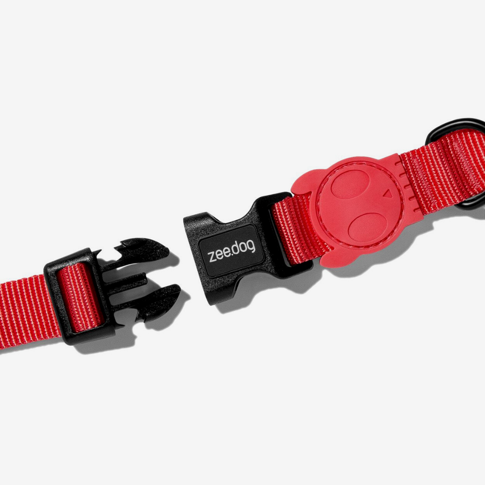 Ошейник NEON CORAL Zee.Dog