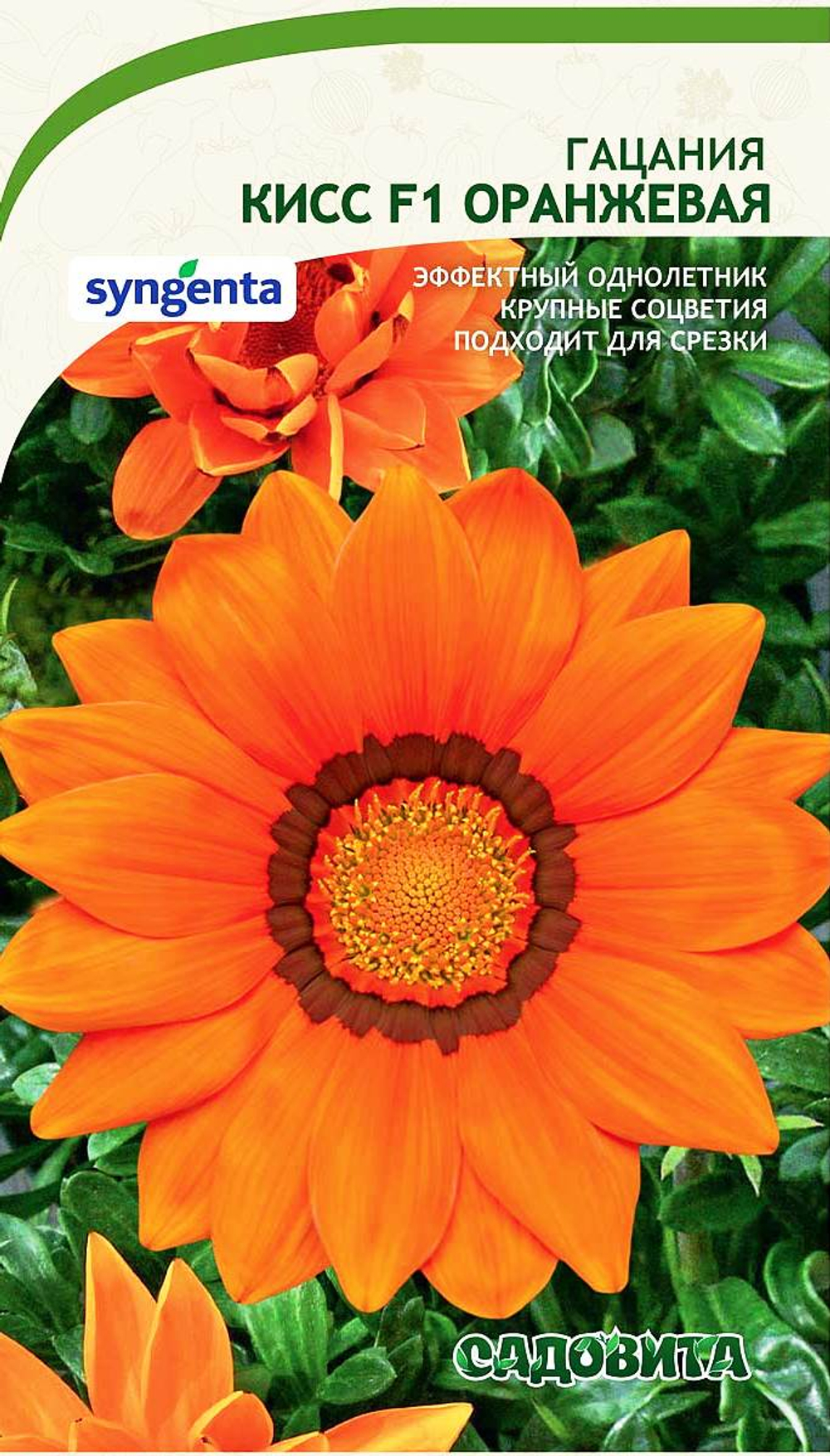 Гацания Кисс F1 Оранжевая 5шт Syngenta/Садовита