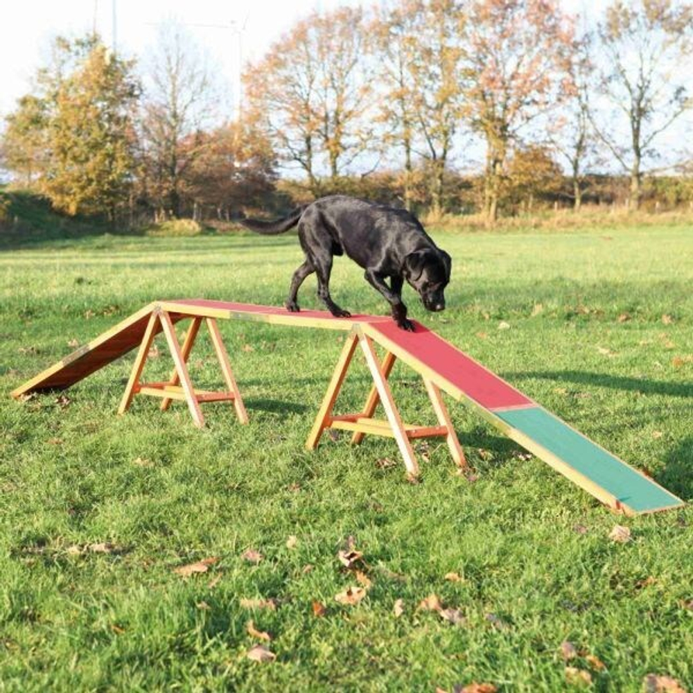Набор для аджилити "Бум" Dog Activity, 456 х 64 х 30 см, Trixie