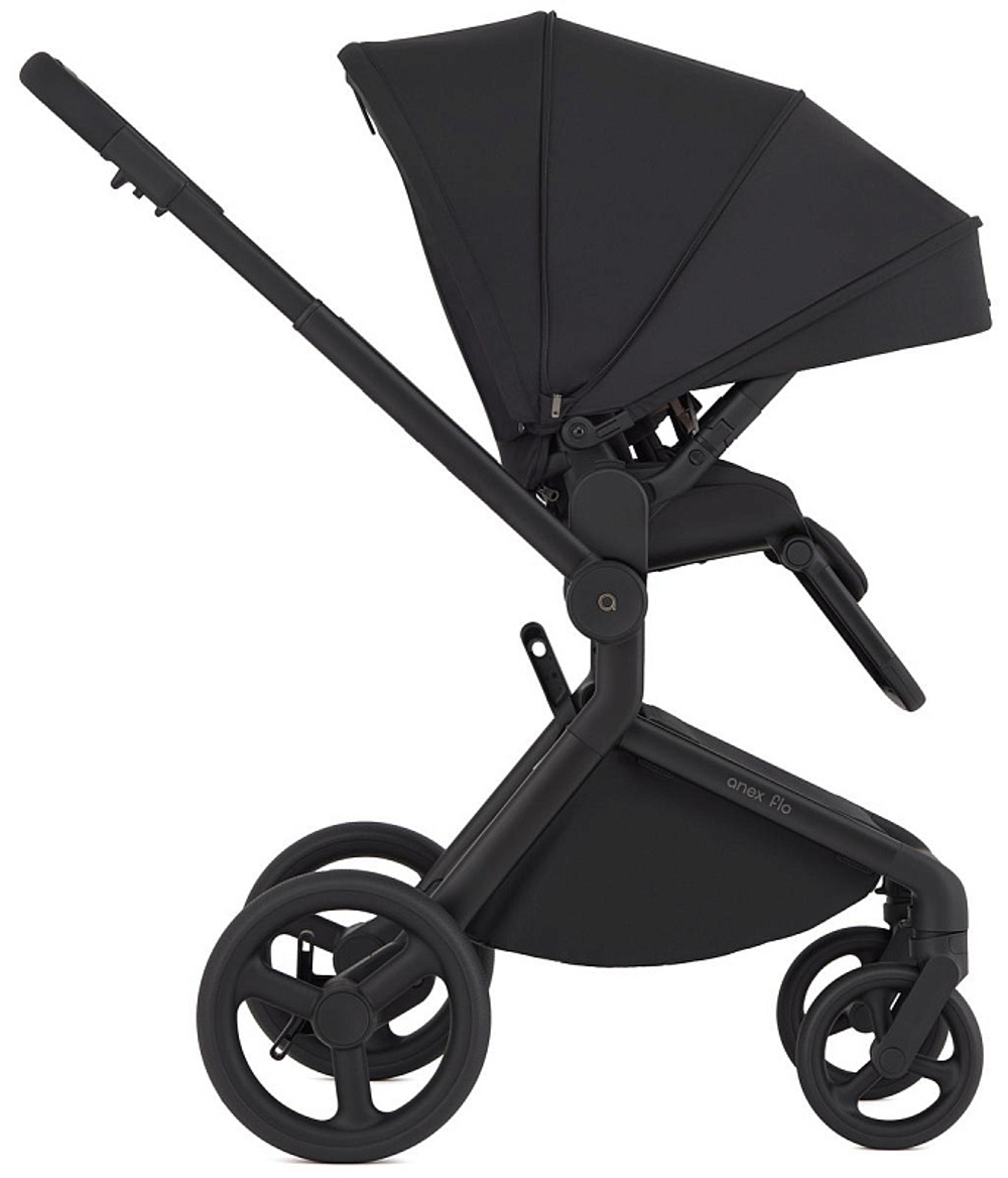 Детская коляска Anex Flo 2 в 1 Lungo
