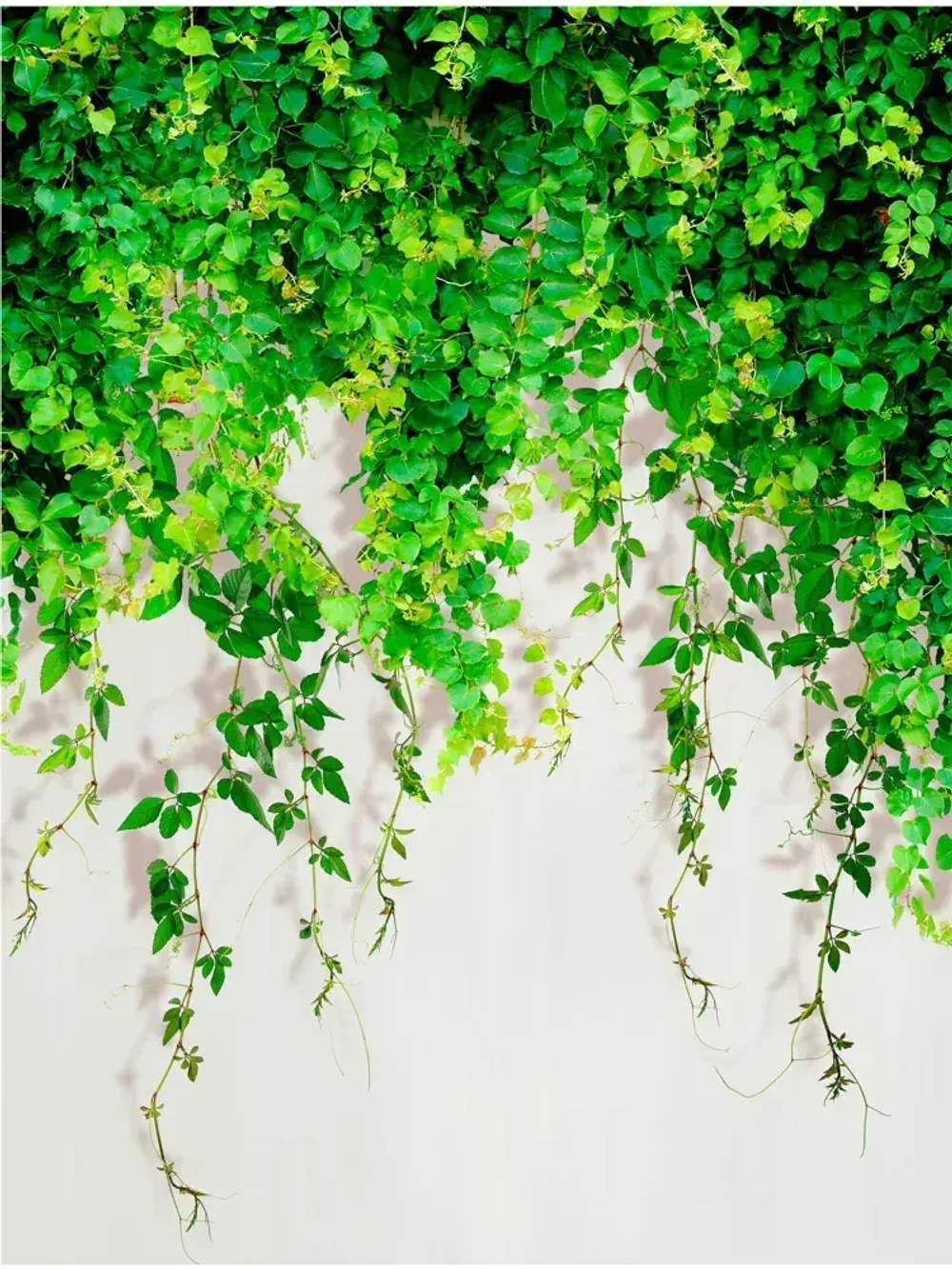 Фотообои Листья в зал, в спальню, в гостиную, на кухню 200х270