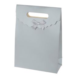 GAEM Пакет подарочный S (бумага 210г/м2, блок микс 12шт), L19 W8,5 H27 см, 2в.