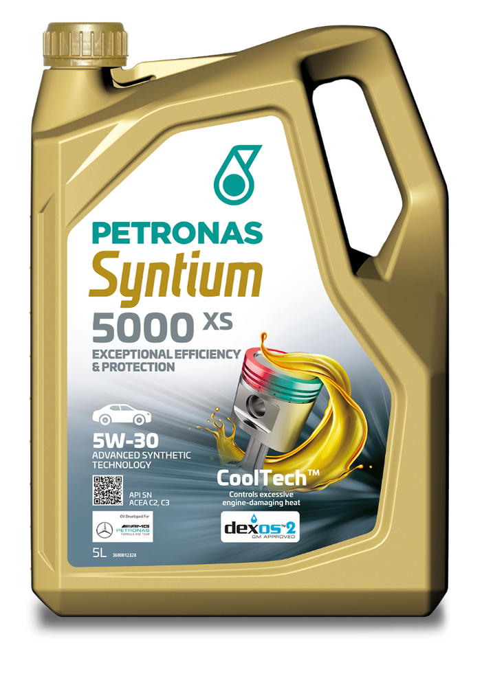 SYNTIUM 5000 XS 5W-30 4 л