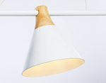 Подвесной светильник Ambrella Light TR TR8196