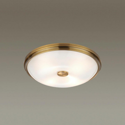 Накладной светильник Odeon Light 4956/4