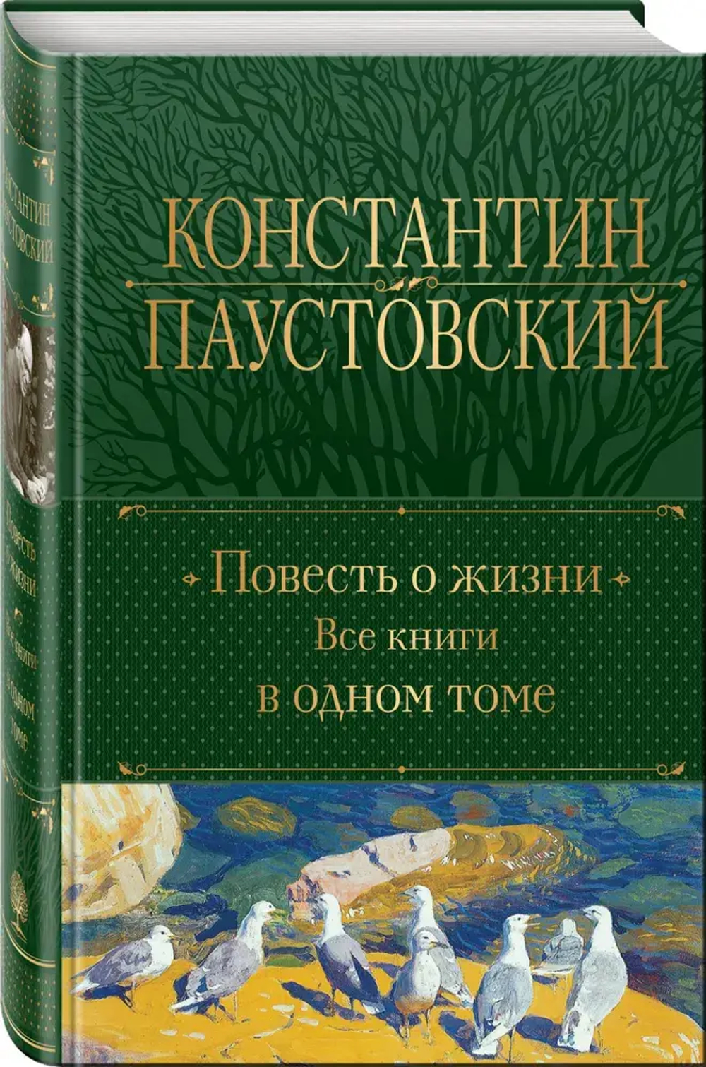 Повесть о жизни. Все книги в одном томе